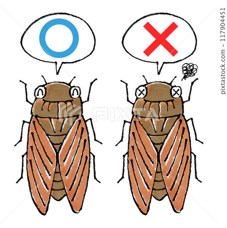 Judgment of the Brown Cicada Set (True or False) 117904451
