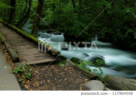 Ishigedonose Promenade and Stream of Oirase Gorge 117904599