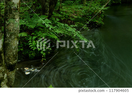 Ishigedo Rapids of the Oirase Stream Ishigedo Rapids of the Oirase Stream 117904605