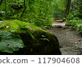 奧入瀨溪石門急流長廊上長滿青苔的岩石 117904608