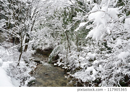 冬天的劍龍峽(新潟縣) 冬天的劍龍峽(新潟縣) 117905365