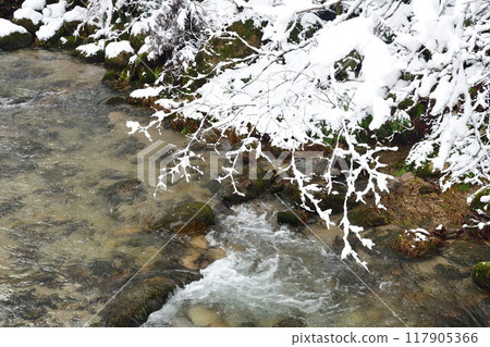 冬天的劍龍峽（新潟縣） 117905366