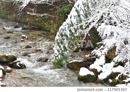 冬天的劍龍峽（新潟縣） 117905367