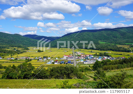 蘆別市新城町水稻種植景觀鳥瞰圖（2024年8月下旬） 117905517