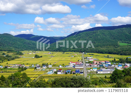 蘆別市新城町水稻種植景觀鳥瞰圖（2024年8月下旬） 117905518