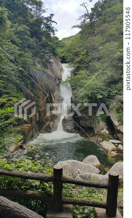 A waterfall surrounded by fresh greenery A waterfall surrounded by fresh greenery 117905548