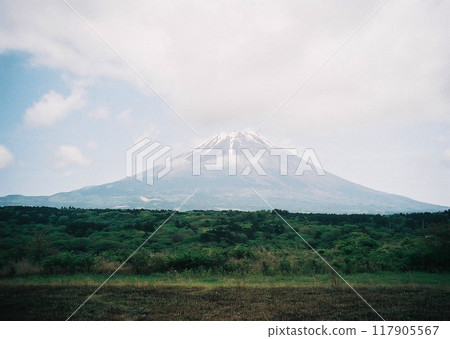 從Morning Fogau看到的富士山 117905567