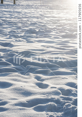 Vertical photo of snow with traces in sunny weather. Vertical photo of snow with traces in sunny weather. 117905656