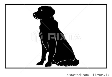 Golden Retriever dog Silhouette, Graceful Canine Profile in Illustration, Golden Retriever black silhouette stock. 117905717