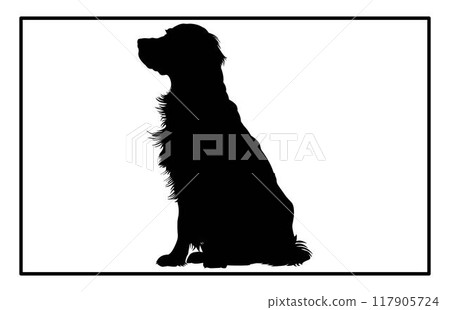 Golden Retriever dog Silhouette, Graceful Canine Profile in Illustration, Golden Retriever black silhouette stock. 117905724