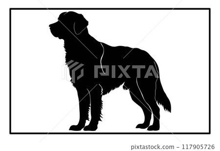Golden Retriever dog Silhouette, Graceful Canine Profile in Illustration, Golden Retriever black silhouette stock. 117905726