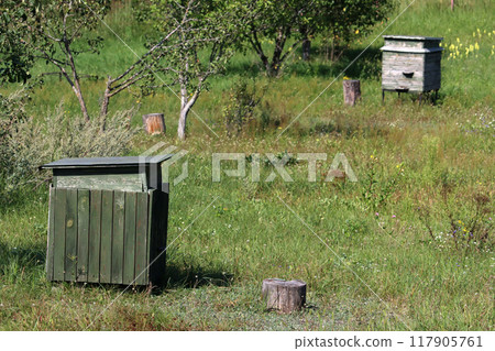 Abandoned bee hives in nature. 117905761