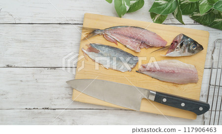 3條新鮮竹莢魚的圖片 117906463