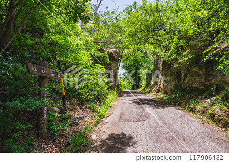 善光寺街道小切通道 117906482