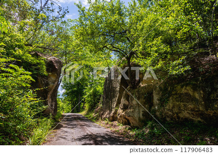 善光寺街道小切通道 117906483