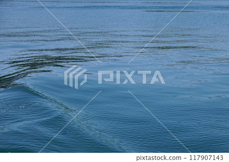 Sea surface: Calm Sea surface: Calm 117907143