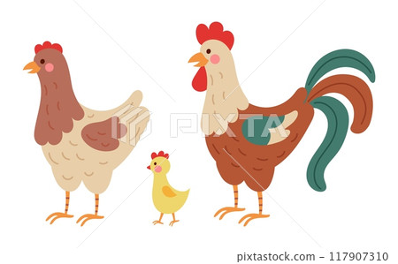 Farm birds. Cute rooster and hen, hand drawn domestic chicken. Easter decorative isolated decor. Family icons, organic eco agriculture food. Shop mascot vector cartoon flat style isolated illustration 117907310