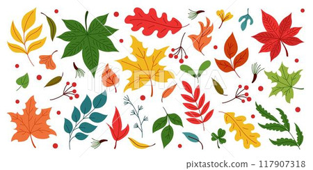 Leaf fall autumn. Maple icon, pattern tree. Red yellow and green plants leaves. Dry birch, brown oak. Orange season forest foliage. Vector background, cartoon flat style isolated illustration tidy set Leaf fall autumn. Maple icon, pattern tree. Red yellow and green plants leaves. Dry birch, brown oak. Orange season forest foliage. Vector background, cartoon flat style isolated illustration tidy set 117907318