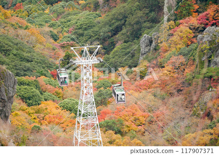 秋季寒霞溪索道 117907371