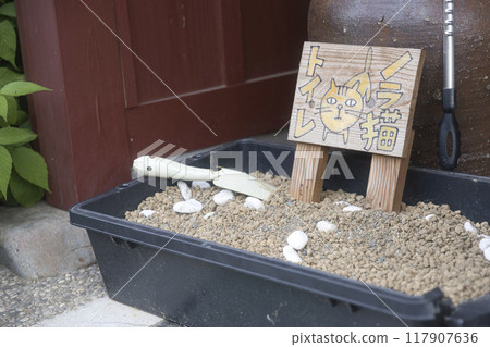 鯖街道熊川宿保護貓廁所3 鯖街道熊川宿保護貓廁所3 117907636
