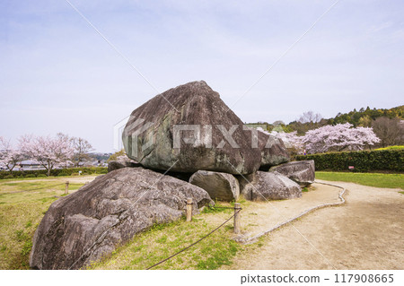石舞台古墳和櫻花風景、奈良縣旅遊勝地、國家特別史蹟、飛鳥村的春天風景 117908665