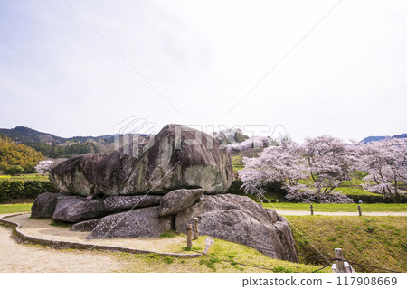 石舞台古墳和櫻花風景、奈良縣旅遊勝地、國家特別史蹟、飛鳥村的春天風景 石舞台古墳和櫻花風景、奈良縣旅遊勝地、國家特別史蹟、飛鳥村的春天風景 117908669