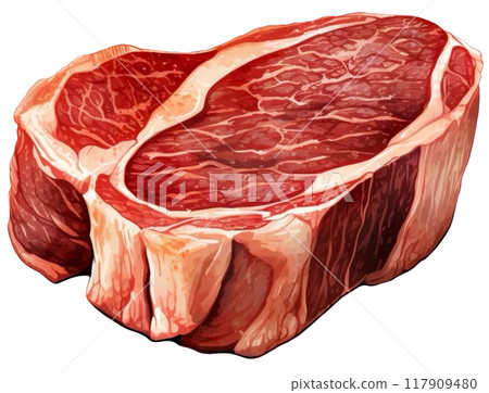 Steak 117909480