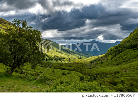 Rural Landscape With Green Valley Near Glencoe In Scotland, UK Rural Landscape With Green Valley Near Glencoe In Scotland, UK 117909567