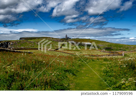 Seabird Nature Reserve Isle Of May In The Firth Of Forth In The Atlantic Ocean Near Anstruther In Scotland 117909596
