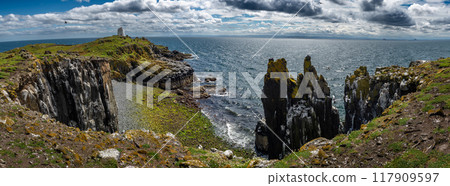 Coast At The Seabird Nature Reserve Isle Of May In The Firth Of Forth In The Atlantic Ocean Near Anstruther In Scotland Coast At The Seabird Nature Reserve Isle Of May In The Firth Of Forth In The Atlantic Ocean Near Anstruther In Scotland 117909597