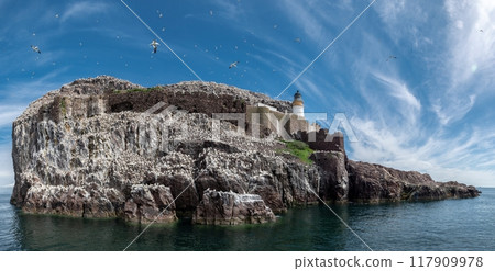 Bass Rock Island With Nesting Northern Gannets (Morus Bassanus) In The Atlantic Ocean Of Firth of Forth At North Berwick Near Edinburgh In Scotland Bass Rock Island With Nesting Northern Gannets (Morus Bassanus) In The Atlantic Ocean Of Firth of Forth At North Berwick Near Edinburgh In Scotland 117909978
