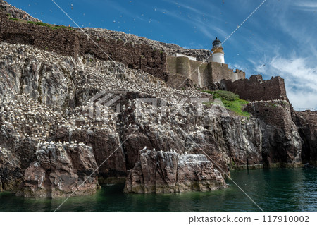 Bass Rock Island With Nesting Northern Gannets (Morus Bassanus) In The Atlantic Ocean Of Firth of Forth At North Berwick Near Edinburgh In Scotland Bass Rock Island With Nesting Northern Gannets (Morus Bassanus) In The Atlantic Ocean Of Firth of Forth At North Berwick Near Edinburgh In Scotland 117910002