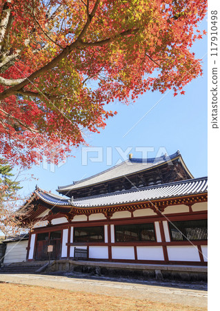 Todaiji Temple Great Buddha Hall and autumn leaves in Nara City, Nara Prefecture 117910498