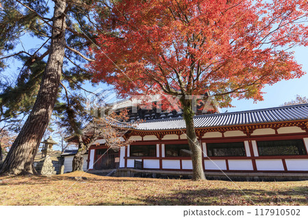 奈良縣奈良市東大寺大佛殿和秋葉 奈良縣奈良市東大寺大佛殿和秋葉 117910502