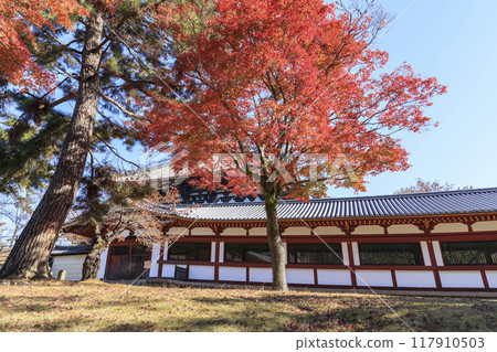 Todaiji Temple Great Buddha Hall and autumn leaves in Nara City, Nara Prefecture 117910503