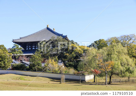 奈良縣奈良市東大寺大佛殿和秋葉 117910510