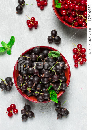 bowls with berries, black and red currants, top view, food concept, no people, 117910623