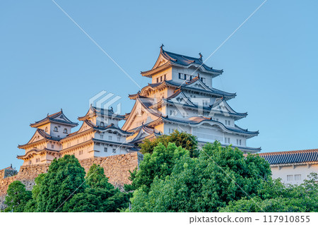 城堡塔樓在傍晚的天空中閃閃發光 城堡塔樓在傍晚的天空中閃閃發光 117910855