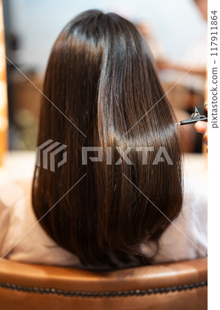 頭髮護理圖像 117911864