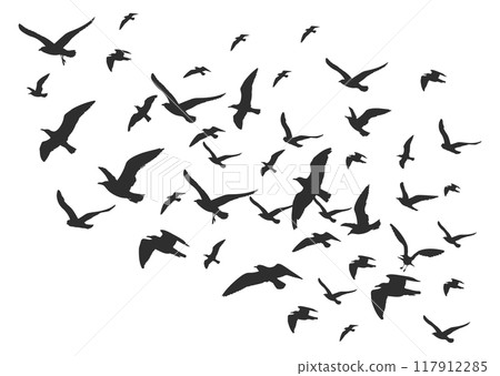 Bird flock black silhouettes. Flying animal group 117912285