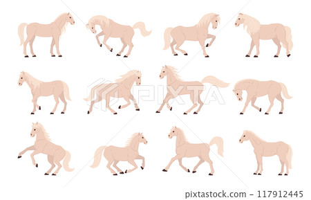 White horses. Thoroughbred domestic animals, white graceful horse in different poses, farm or ranch animals flat vector illustration set. Cartoon horses collection 117912445