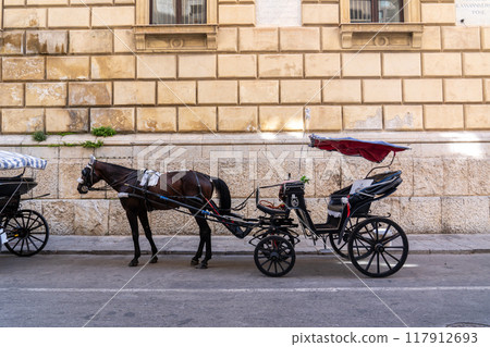 Horse-drawn carriage in Palermo, Sicily Horse-drawn carriage in Palermo, Sicily 117912693