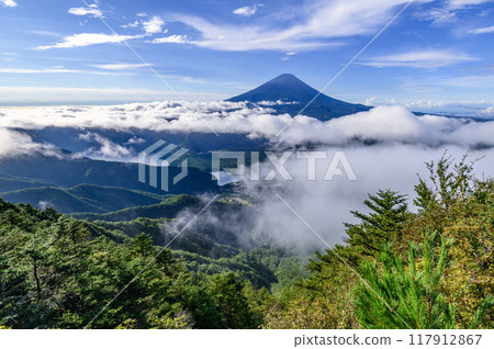 Mount Fuji and the sea of clouds in summer (from near Mt. Odake, Yamanashi Prefecture) 117912867