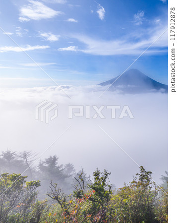 Mount Fuji and the sea of clouds in summer (from near Mt. Odake, Yamanashi Prefecture) Mount Fuji and the sea of clouds in summer (from near Mt. Odake, Yamanashi Prefecture) 117912878
