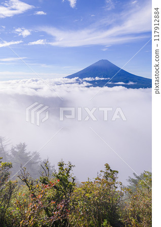 Mount Fuji and the sea of clouds in summer (from near Mt. Odake, Yamanashi Prefecture) 117912884