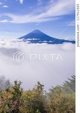 Mount Fuji and the sea of clouds in summer (from near Mt. Odake, Yamanashi Prefecture) 117912885
