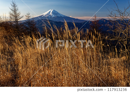 Mt. Fuji seen from the grasslands of Minamidaibosatsu and Okura Takamaru in the morning Mt. Fuji seen from the grasslands of Minamidaibosatsu and Okura Takamaru in the morning 117913236