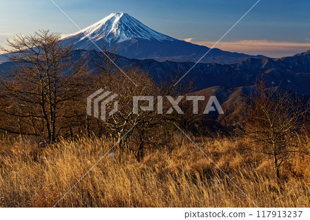 Mt. Fuji seen from the grasslands of Minamidaibosatsu and Okura Takamaru in the morning Mt. Fuji seen from the grasslands of Minamidaibosatsu and Okura Takamaru in the morning 117913237