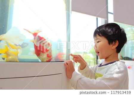 Goldfish and children 117913439