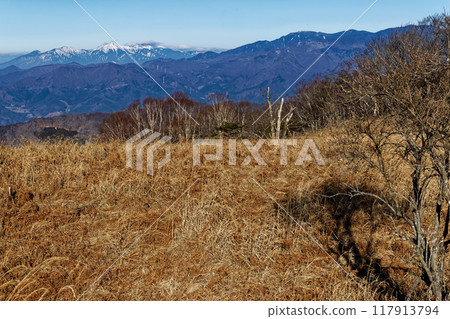 冬天從南大菩薩濱米場丸附近看到的八嶽山脈和金峰山 冬天從南大菩薩濱米場丸附近看到的八嶽山脈和金峰山 117913794
